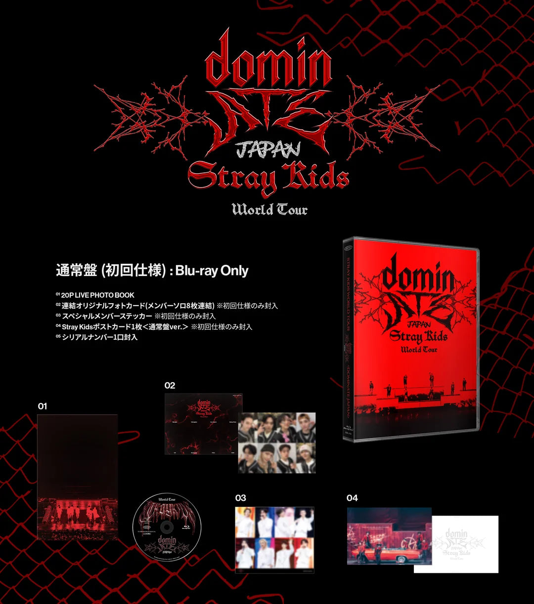 dominate エコパ 楽天ブックス特典 トレカ コンプ StrayKids dominATE