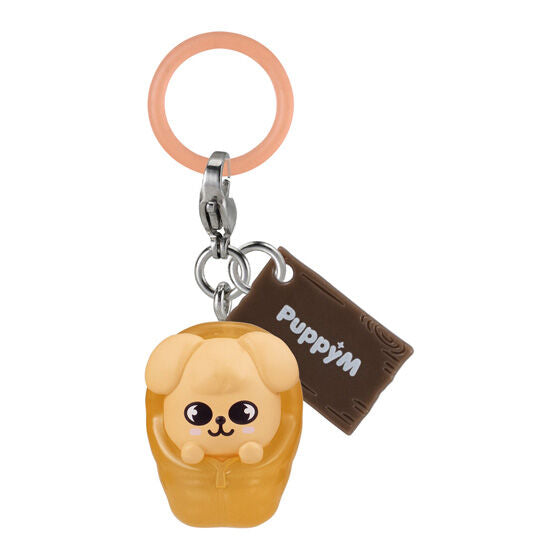 PRE-ORDER] SKZOO 'Solo Camp' Gashapon (MEMBER CHOICE) – Kbyseni