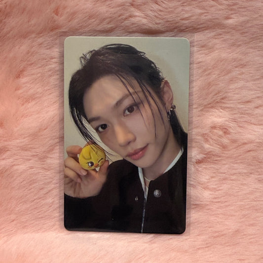 Felix Tamagotchi POB Photocard