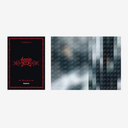 [PRE-ORDER] Stray Kids POSTCARD BOOK - dominATE SEOUL